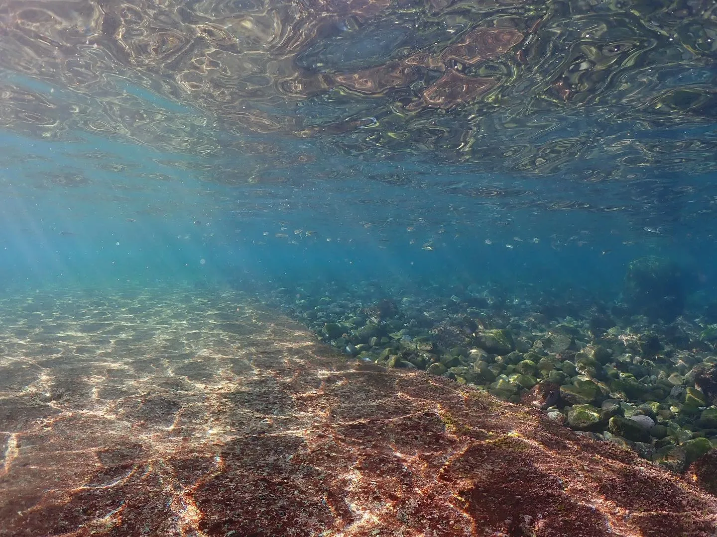 本日は江の浦へ！