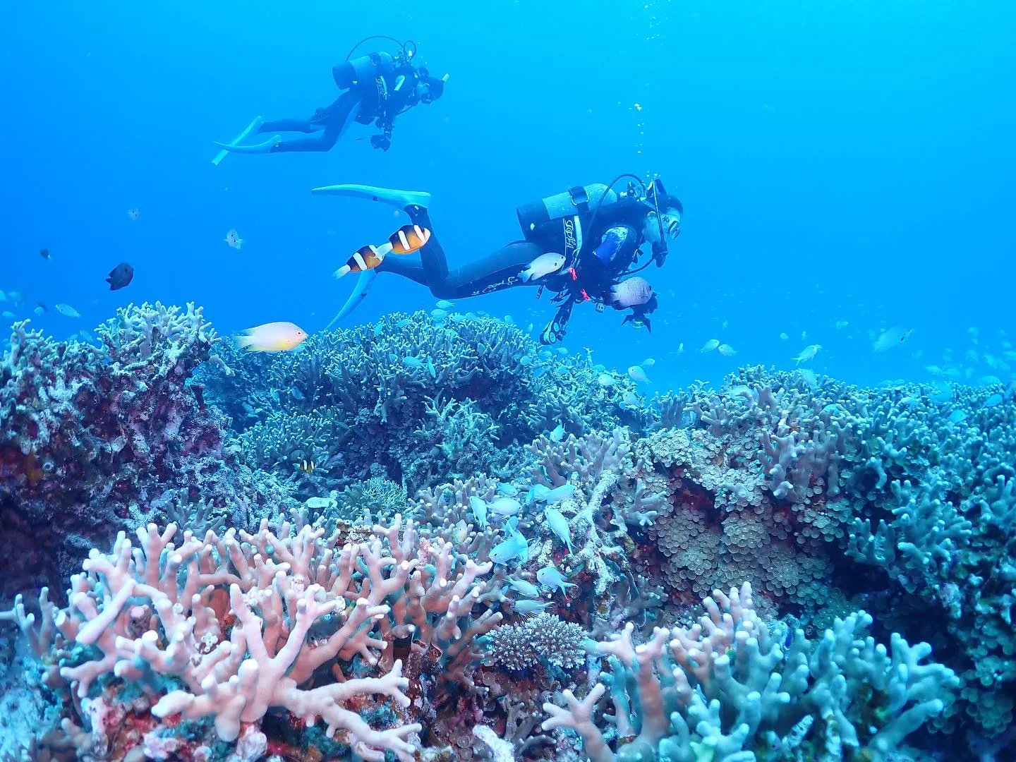 2泊3日沖縄FD〜海編〜