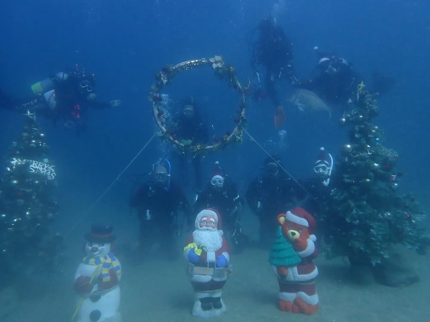 水中クリスマス🎅🎉